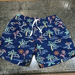 Chubbies The Neon Lights Classic Swim Trunks